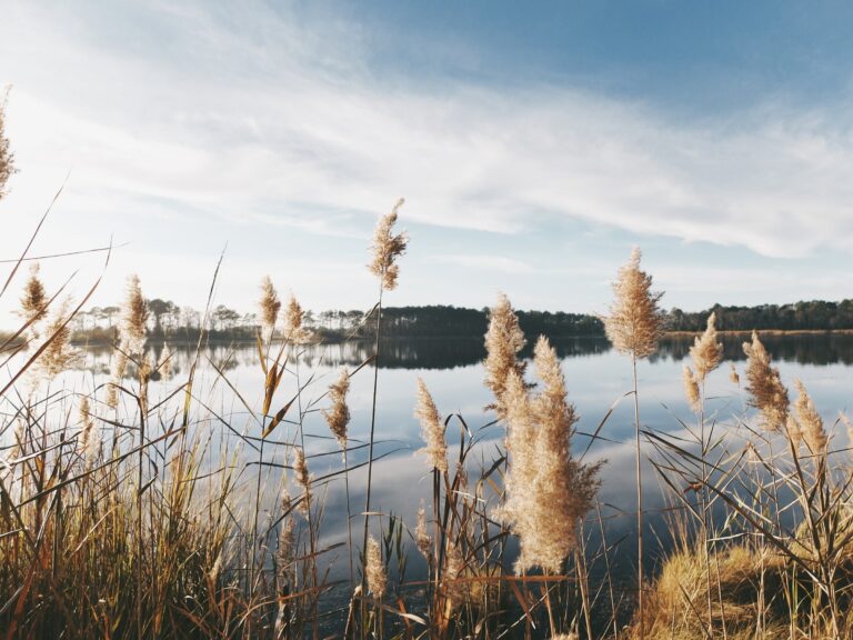 Mazury na krótko? Dlaczego warto?